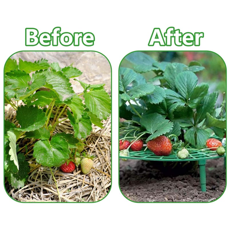 Iceyyyy 5 Pack Strawberry Plant Support - Strawberry Growing Racks with 4 Sturdy Legs - Strawberry Growing Frame Keep Berries Clean - Image 5